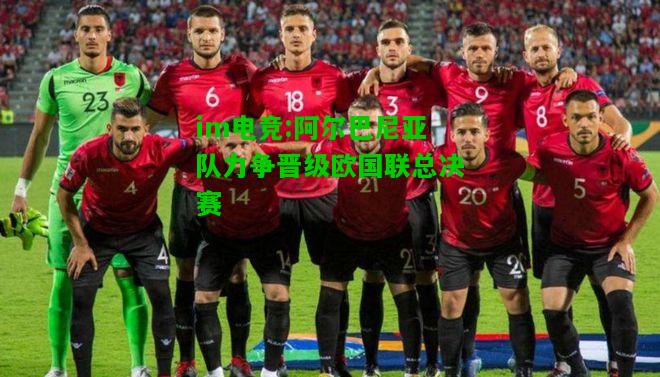 阿尔巴尼亚队力争晋级欧国联总决赛