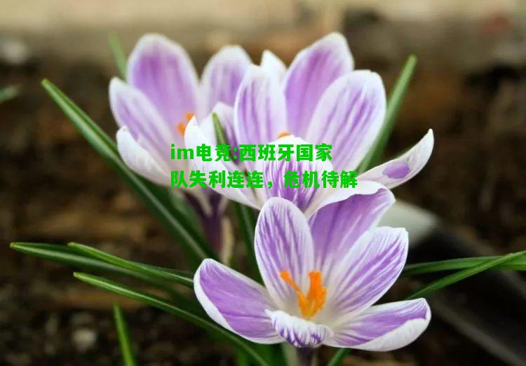西班牙国家队失利连连，危机待解