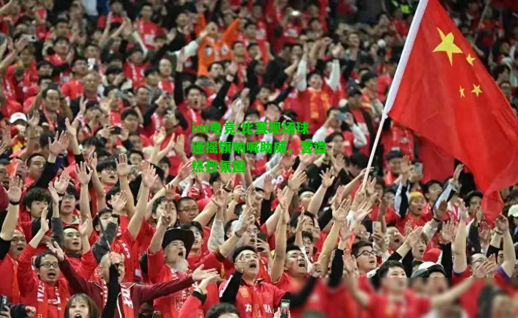 比赛现场球迷摇旗呐喊助威，营造热烈氛围