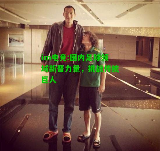 国内足球领域新晋力量，挑战传统巨人