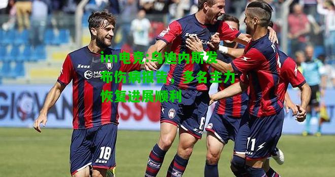 乌迪内斯发布伤病报告，多名主力恢复进展顺利