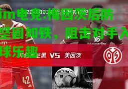 梅因茨后防坚固如铁，阻击对手入球乐趣
