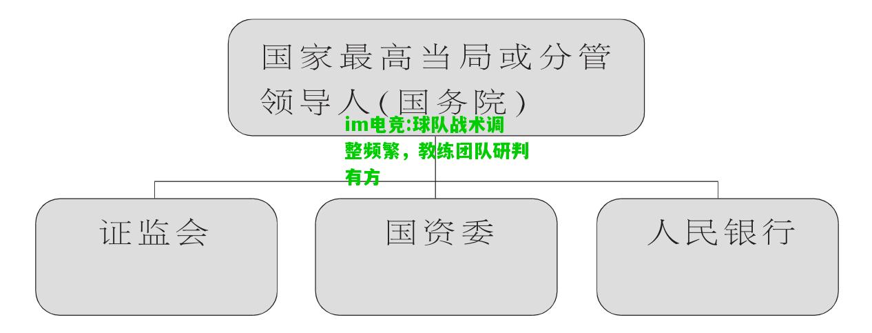球队战术调整频繁，教练团队研判有方
